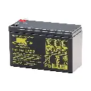 SCIENTIFIC GATE BAT 12V 7A